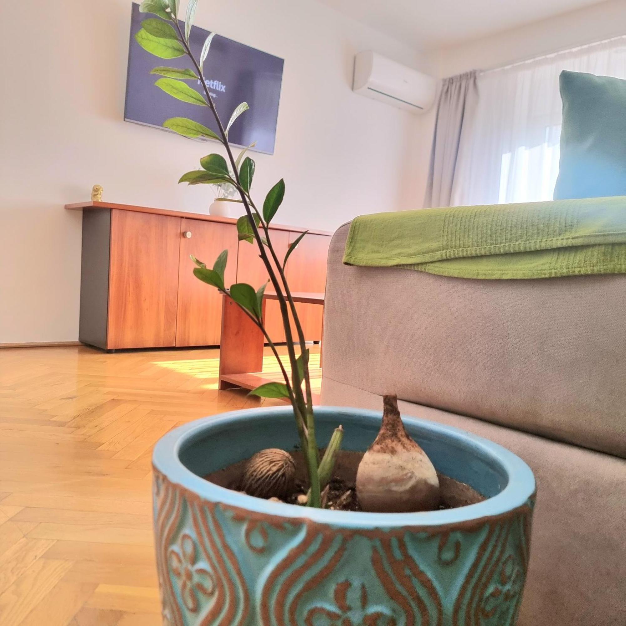Tranquil Unirii Residence - Elegant & Spacious Living With Parking Steps From Parliament Bucharest Exterior photo